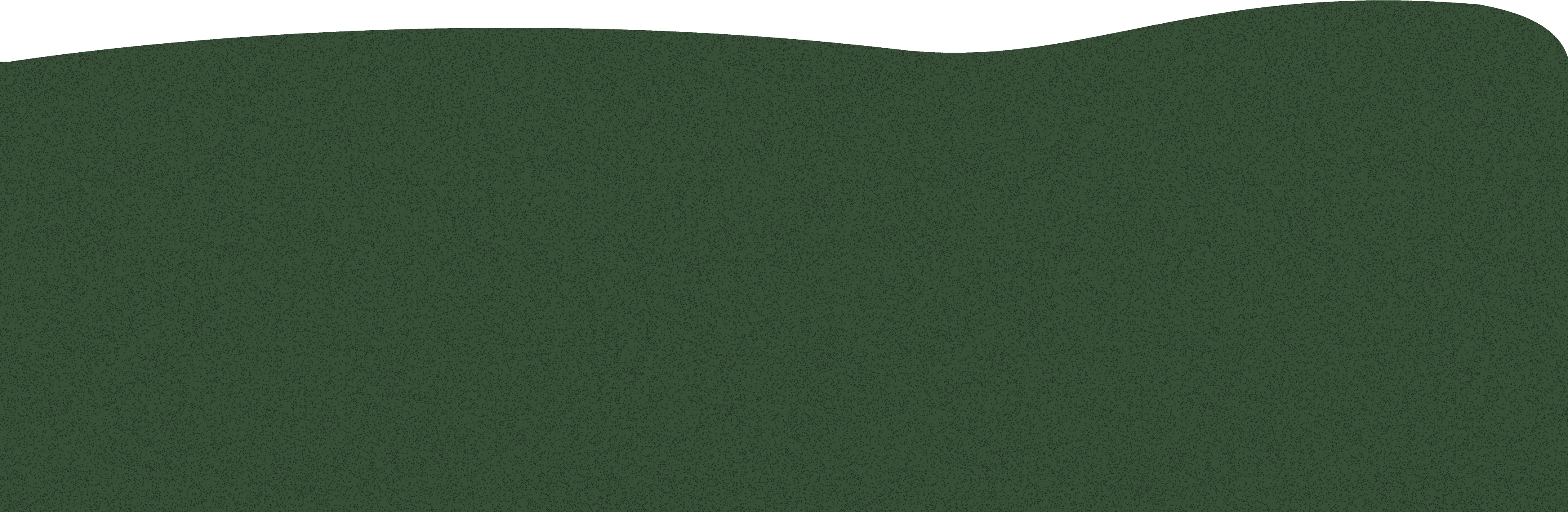 Footer Background
